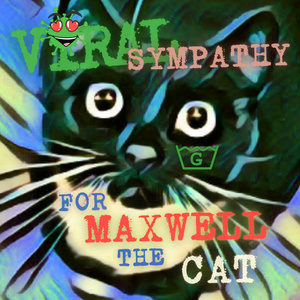 Viral Sympathy for Maxwell the Cat