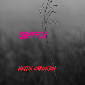 Snaffle
