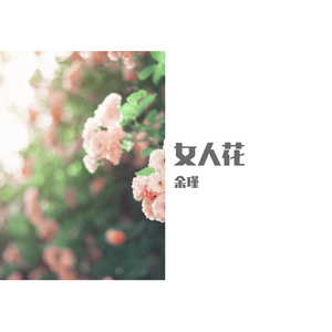 梅艳芳-女人花（余瑾 remix）