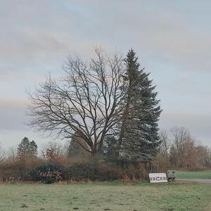 Zu Müde Für Großes