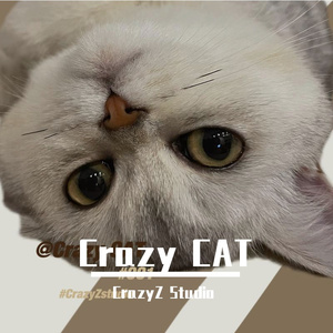 蹦迪先锋队｜CAT Party 3.0（CrazyZ Studio remix）