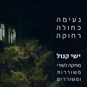 כנפיים