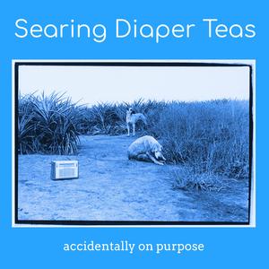 For Steve (How Did You Stay Positive At A Time Like That)