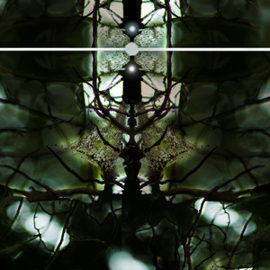 Dancing into the Void