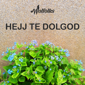 Hejj te dolgod