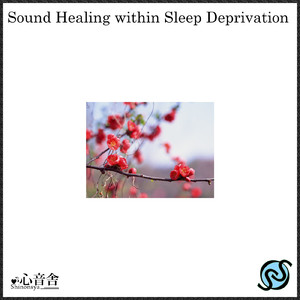 心の癒しの安らぎの夜