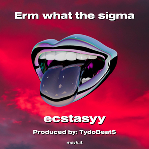 Erm what the sigma