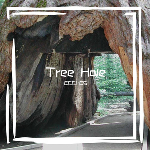 Tree Hole