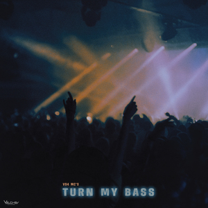 Turn My Bass