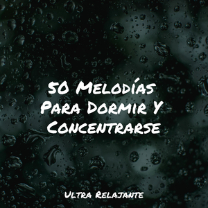 Anochecer En La Distancia