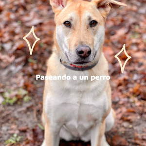 Number One (Cozy Days)