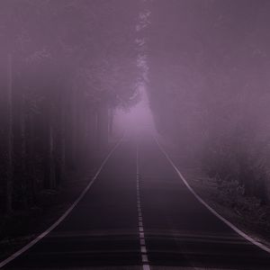 Lands The Murmur of Distant Whales Singing Lullabies to the Deep Blue Sea