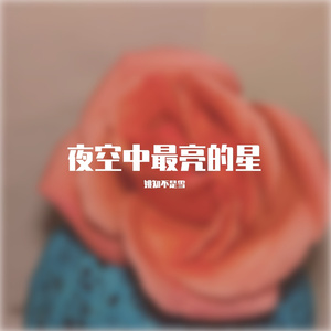 夜空中最亮的星