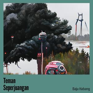 Teman Seperjuangan
