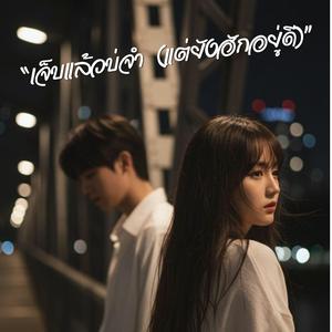 “เจ็บแล้วบ่จำ (แต่ยังฮักอยู่ดี)” - Auudio Music