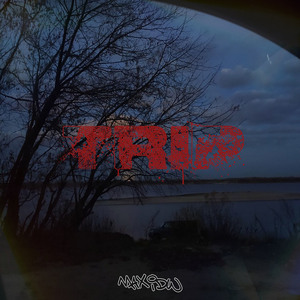 Trip