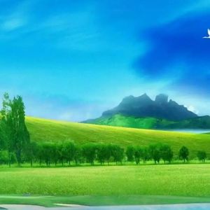 痴心绝对1664354033868