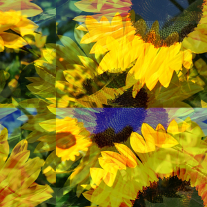 Unbowsome