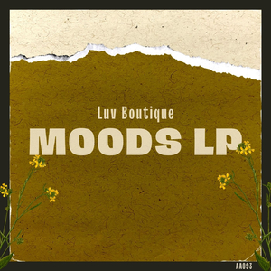 iDub