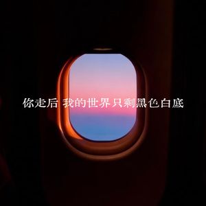 你走后我的世界只剩黑白底色