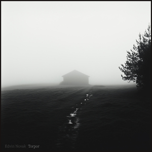Torpor