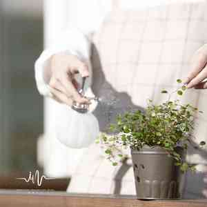 轻松入睡 (钢琴+水声)