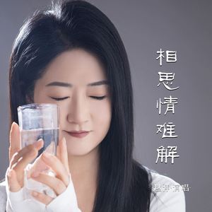 相思情难解 (DJ默涵版)