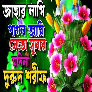 যাহার লাগি পাগল আমি সেতো সোনার মদিনা, নবীর প্রেমে কলিজা ঠান্ডা করা দুরুদ শরীফ