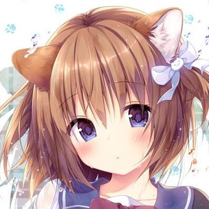 惬意