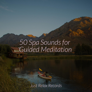 Echoes of Frozen Passion