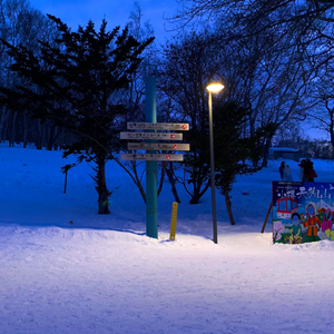 花有重开日人无再少年