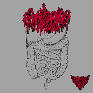 Calambre Rectal Prefecal