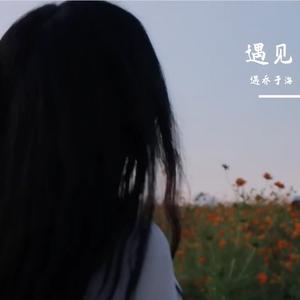 遇见你是我的救赎（版本二）