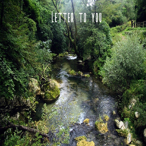 Letter to You