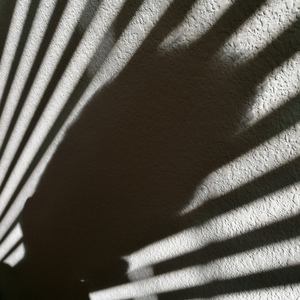 Alastair Gavin - 新闻联播结束曲（Kotoy remix）