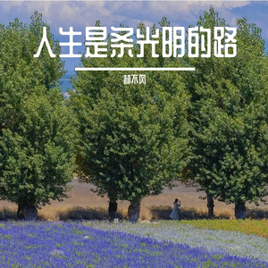 天鹅的梦