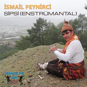 Sipsi (Enstrümantal)