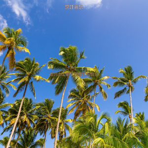 适合办公室工作放松的音乐