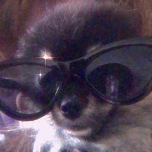 Left Me on Delivered