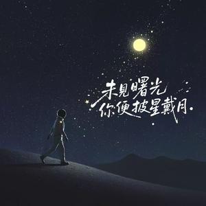未见曙光你便披星戴月
