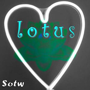 Lotus