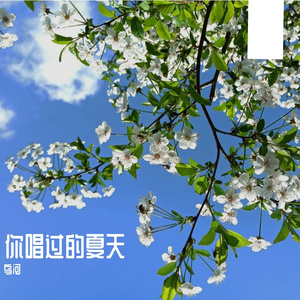 你唱过的夏天
