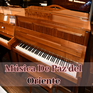 Umculo Wokuthula Wasempumalanga