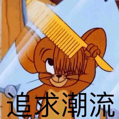 孤勇者 (作业版)