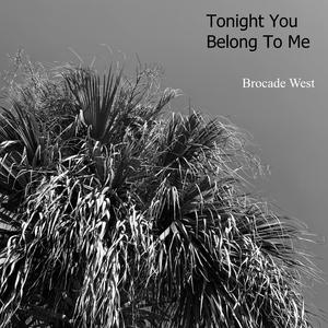 Tonight You Belong to Me