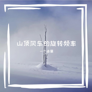 枯叶在柏油路上打滑