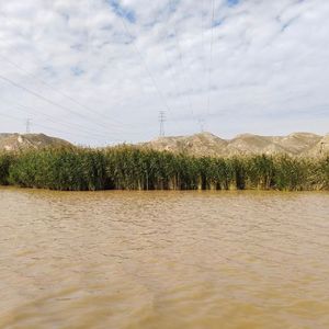 Why the Yellow River’s Yellow  黄河为什么这么黄