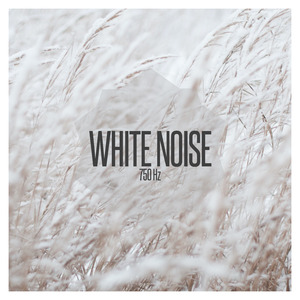 White Noise 750 Hz, Pt. 6