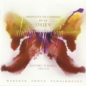 Serenata para cuerdas, Op. 48: I. Andante