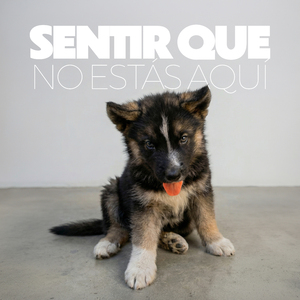 Sentir Que No Estás Aquí